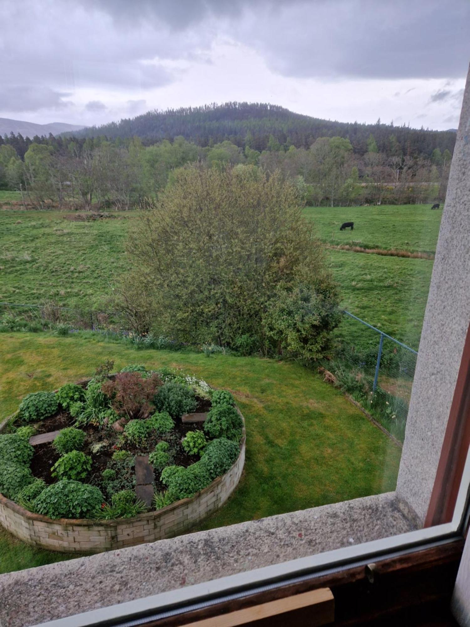 Creag Meggan Bed & Breakfast Ballater Phòng bức ảnh